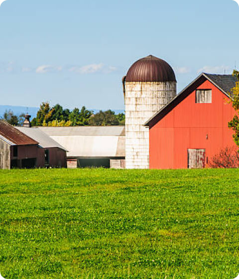 orange-barn
